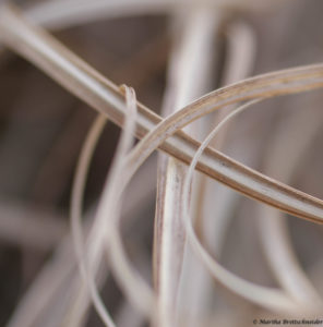 bokeh challenge day 4