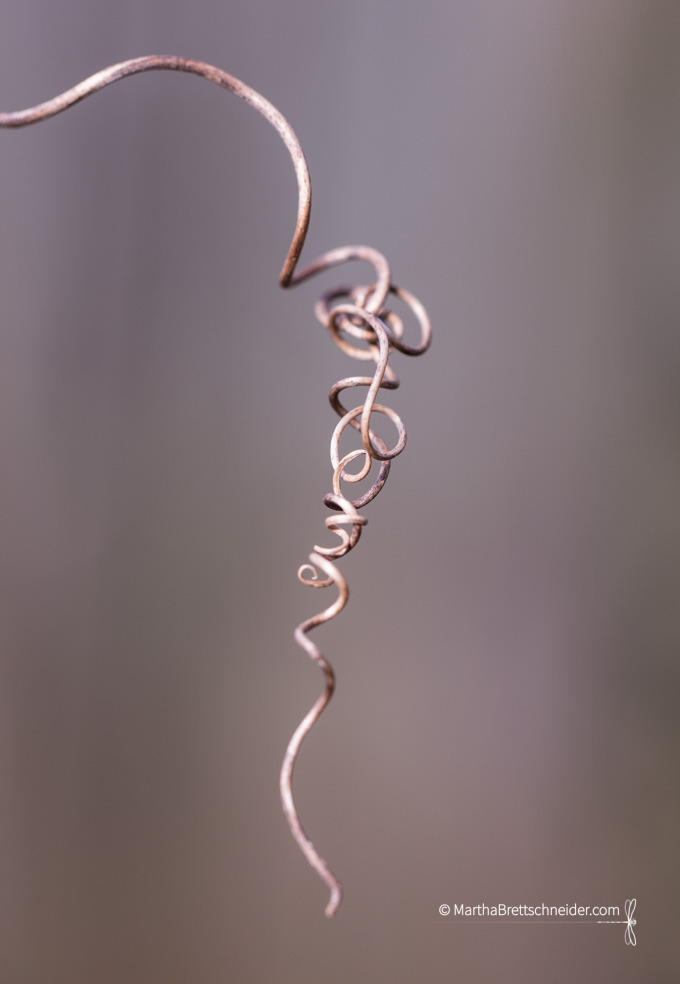 Day 11 3:16 twisted thursday