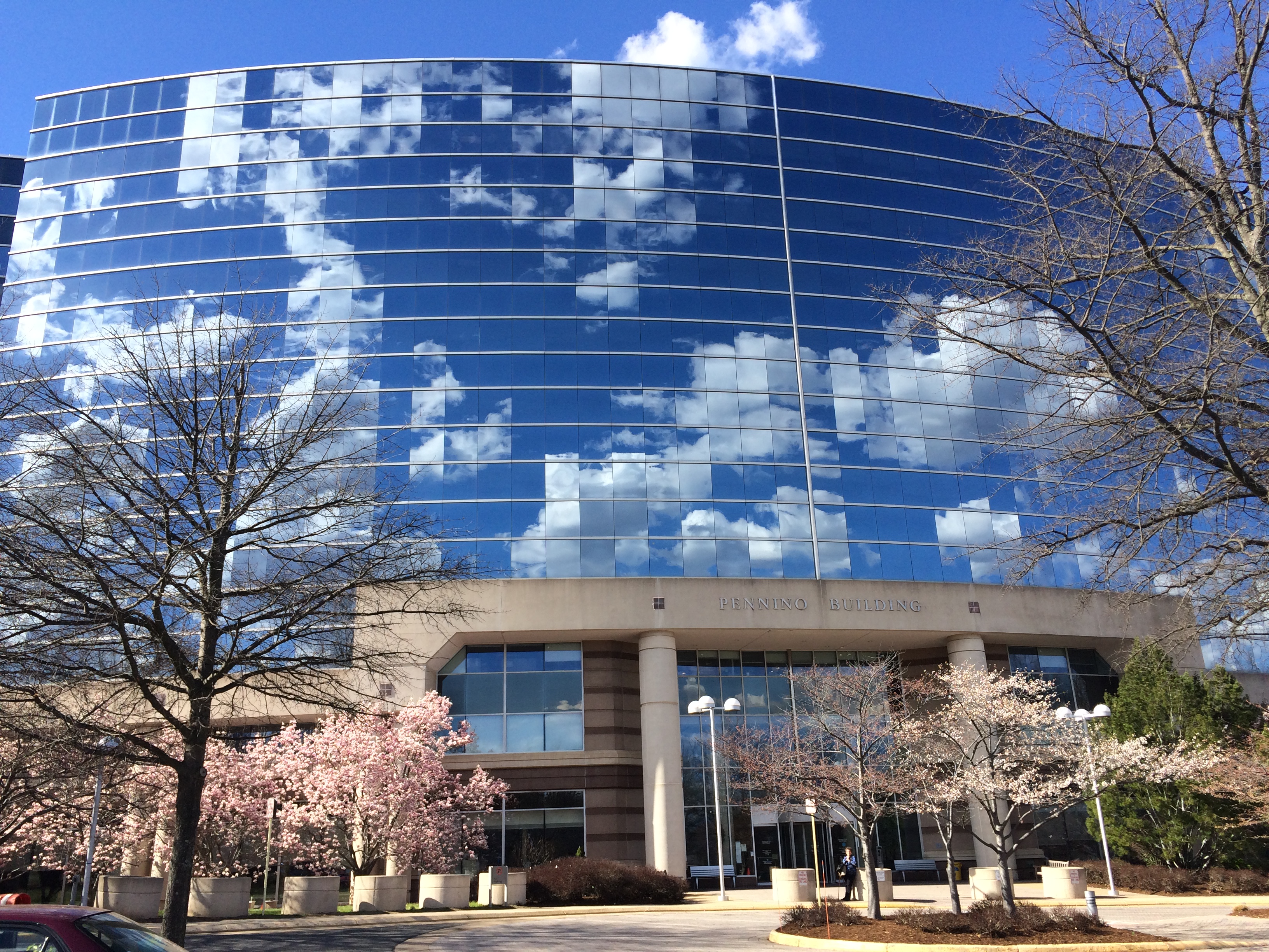 Day 19 3:16 blue sky on Penino