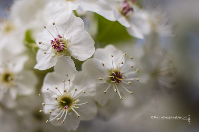 Easter Morning Musings and More March Photo Meditations