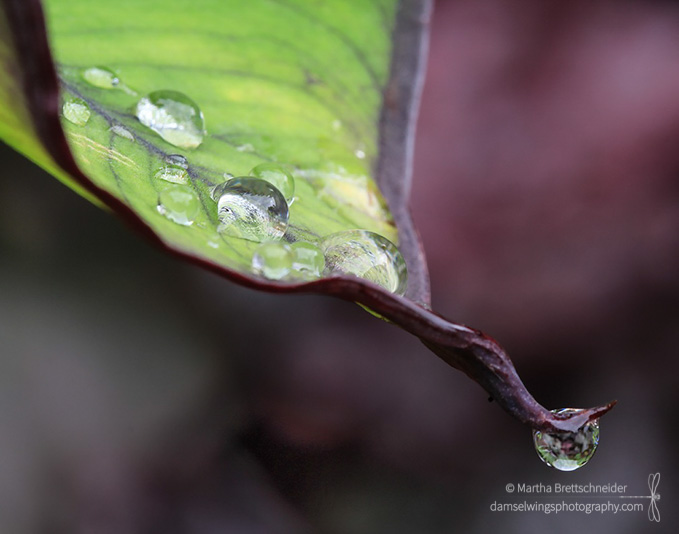 The Space Between Breaths: A Place of Presence, Clarity, and Potential