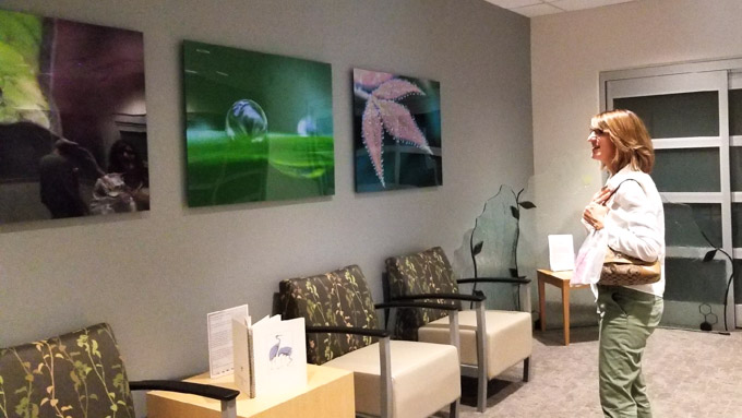 Martha seeing Sibley work for envisioning blog