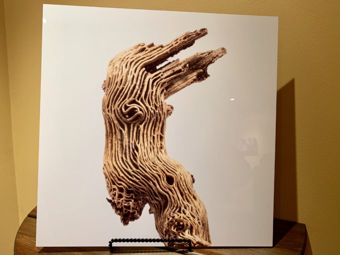 The Ent (or Stick Man)