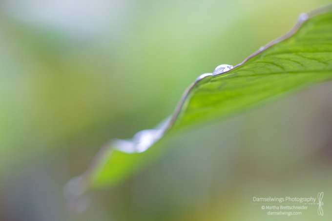 Art Energy (Through New Photos From Belize)