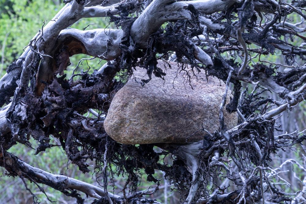 Boulder as heart inspiration for boulder gratitude piece