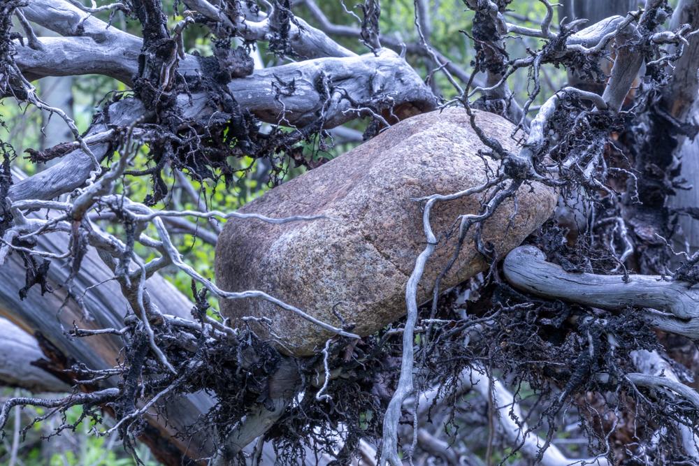 A Boulder of Gratitude