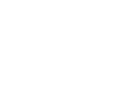 All white version of Damselwings logo