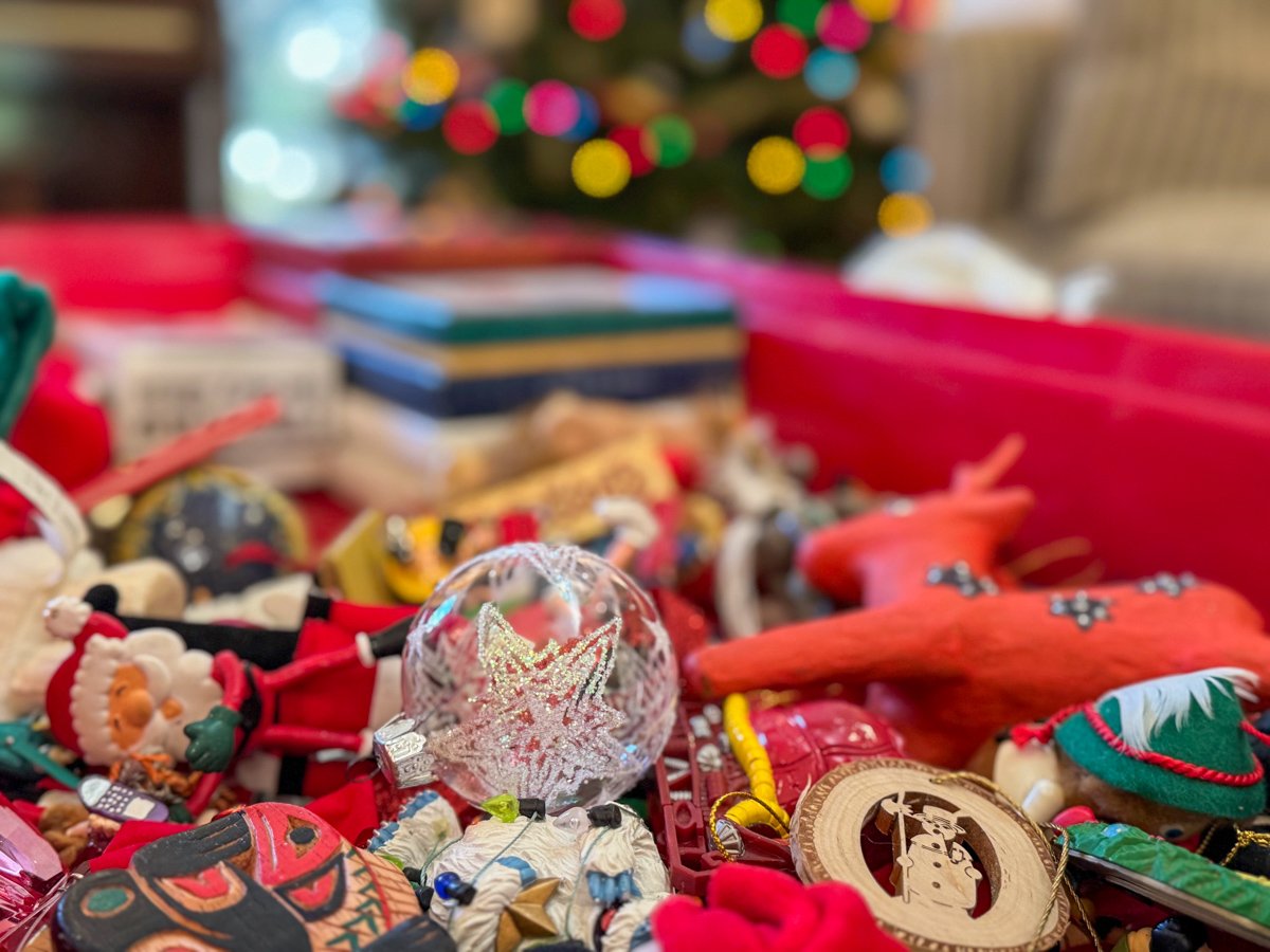 Ornaments photo for Sage Powers blog