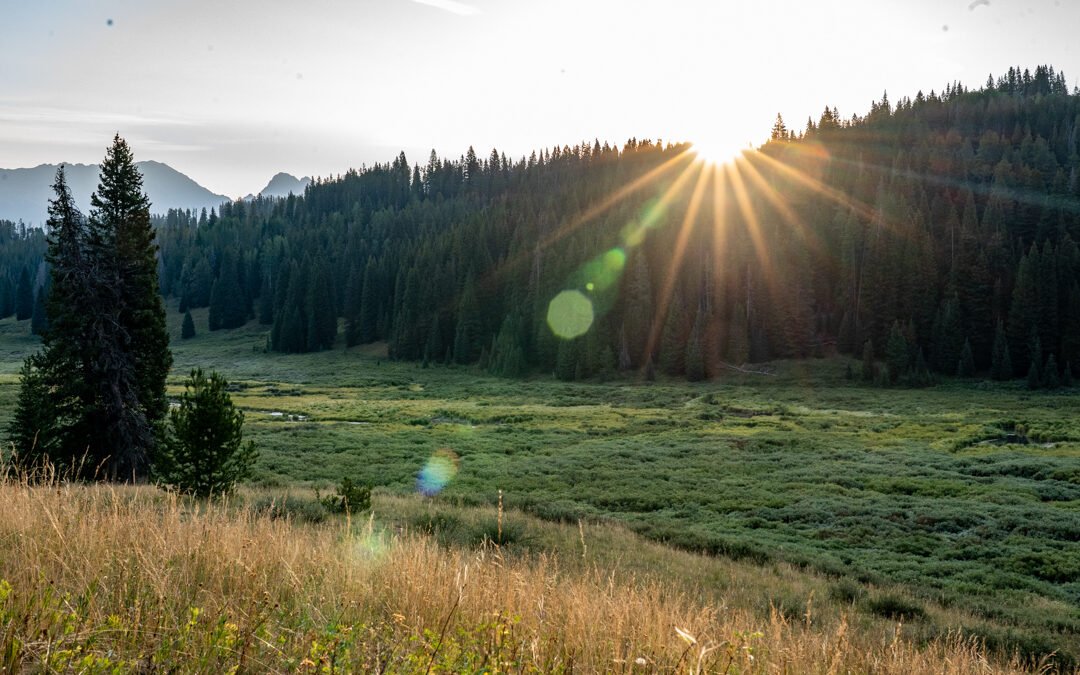 A Spark Worth Igniting: Join Our Next 30-Day Mindfulness Meditation Challenge