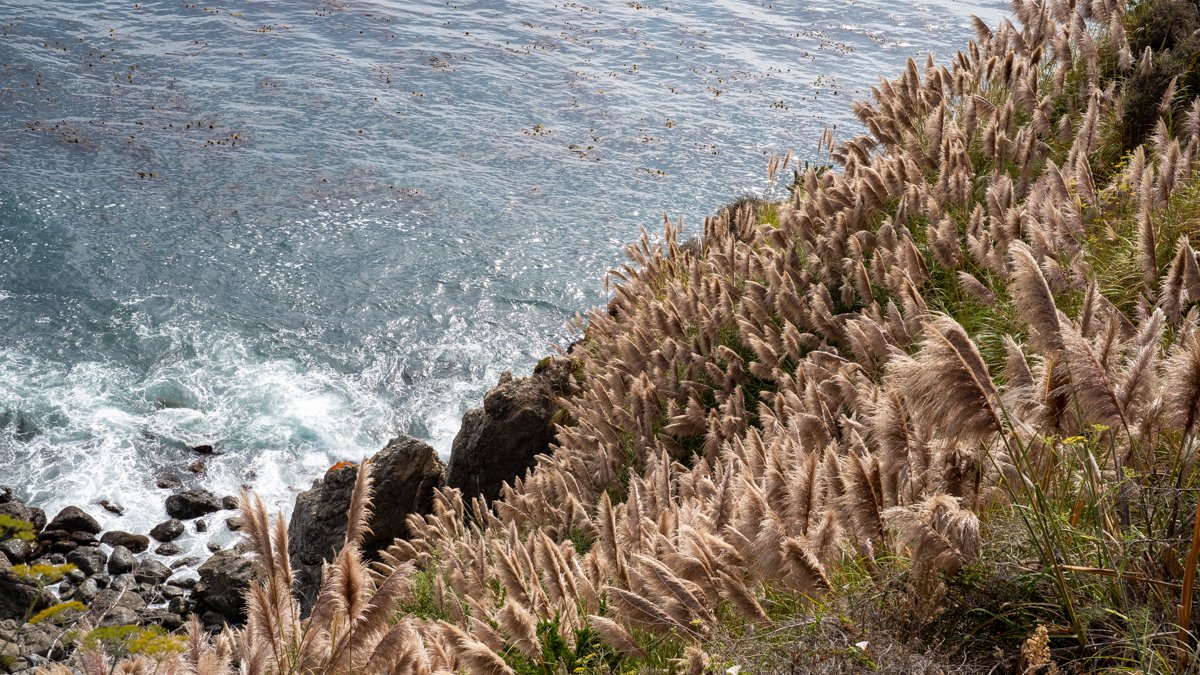 Esalen shoreline