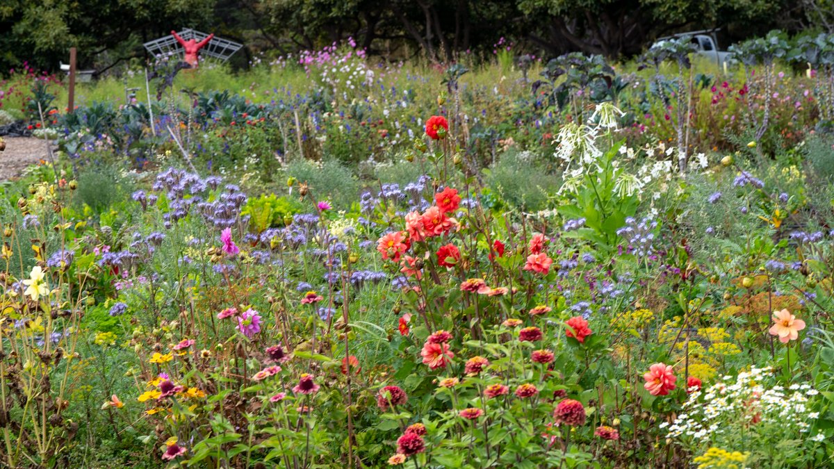 Esalen garden