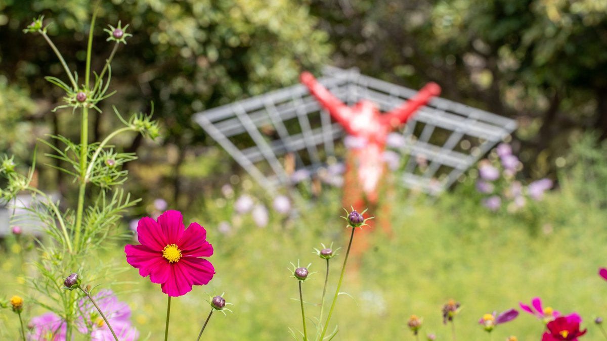 Esalen garden